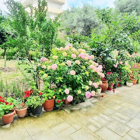 Apartament Me Qera Dublex Lungomare Vlorë エクステリア 写真